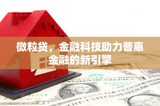 冕宁微粒贷，金融科技助力普惠金融的新引擎