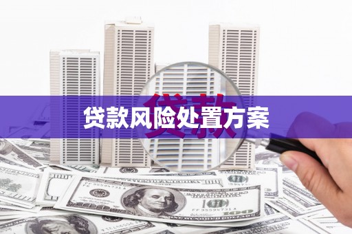 冕宁贷款风险处置方案