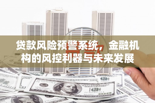 冕宁贷款风险预警系统，金融机构的风控利器与未来发展