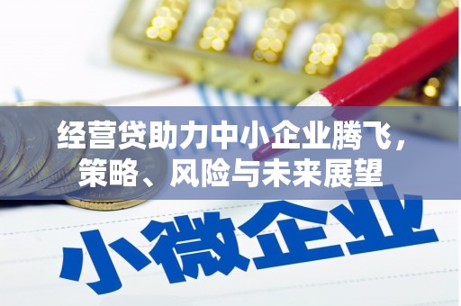 冕宁经营贷助力中小企业腾飞，策略、风险与未来展望