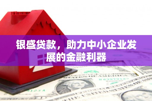 冕宁银盛贷款，助力中小企业发展的金融利器