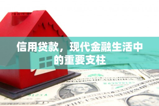 冕宁信用贷款，现代金融生活中的重要支柱