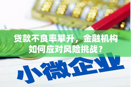 冕宁贷款不良率攀升，金融机构如何应对风险挑战？