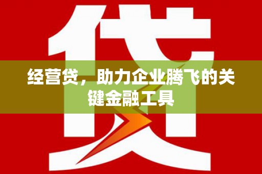 冕宁经营贷，助力企业腾飞的关键金融工具