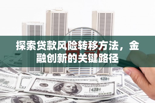 冕宁探索贷款风险转移方法，金融创新的关键路径
