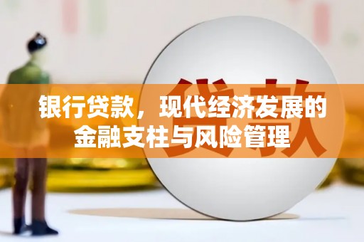 冕宁银行贷款，现代经济发展的金融支柱与风险管理