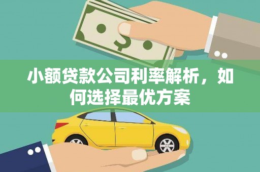 冕宁小额贷款公司利率解析，如何选择最优方案