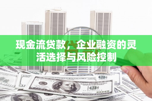 冕宁现金流贷款，企业融资的灵活选择与风险控制