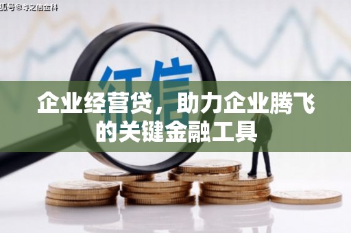 冕宁企业经营贷，助力企业腾飞的关键金融工具