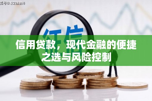 冕宁信用贷款，现代金融的便捷之选与风险控制