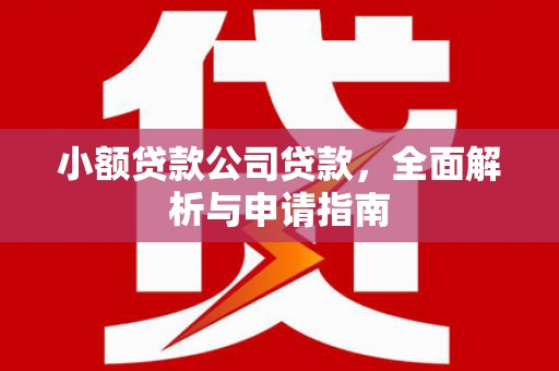 冕宁小额贷款公司贷款，全面解析与申请指南