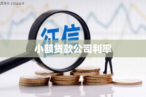 冕宁小额贷款公司利率