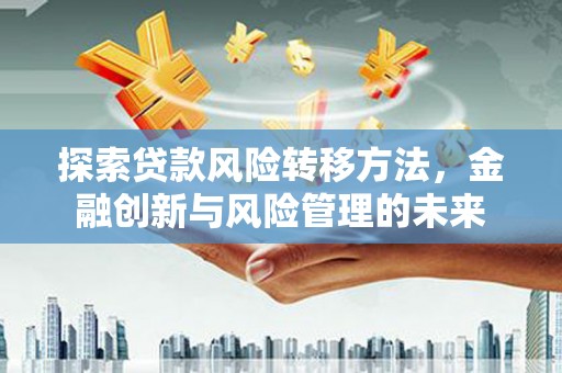冕宁探索贷款风险转移方法，金融创新与风险管理的未来
