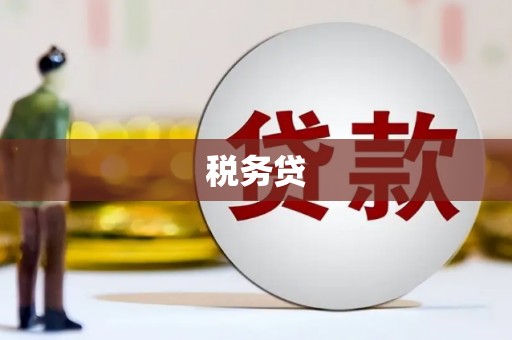 冕宁税务贷