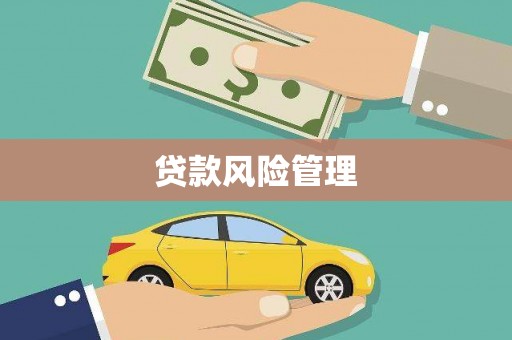 冕宁贷款风险管理