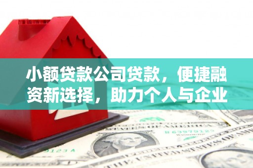 冕宁小额贷款公司贷款，便捷融资新选择，助力个人与企业成长