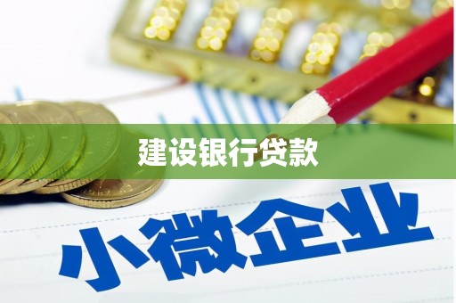 冕宁建设银行贷款