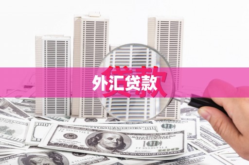 冕宁外汇贷款