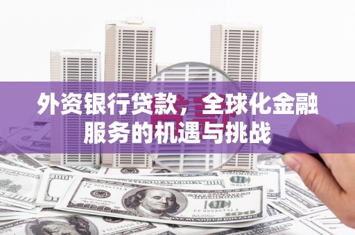 冕宁外资银行贷款，全球化金融服务的机遇与挑战
