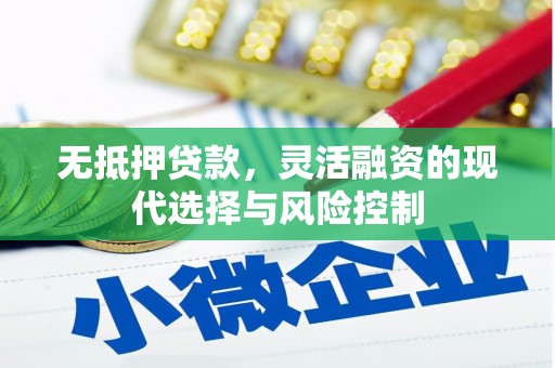 冕宁无抵押贷款，灵活融资的现代选择与风险控制