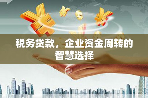 冕宁税务贷款，企业资金周转的智慧选择