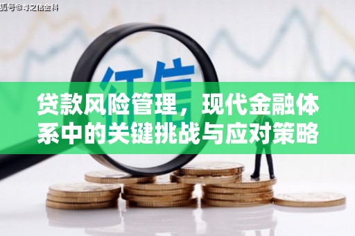 冕宁贷款风险管理，现代金融体系中的关键挑战与应对策略