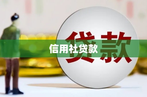 冕宁信用社贷款