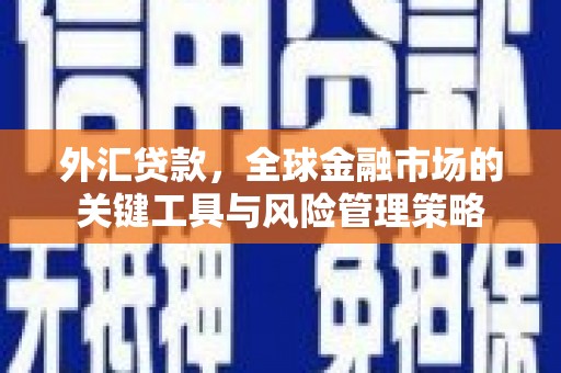冕宁外汇贷款，全球金融市场的关键工具与风险管理策略