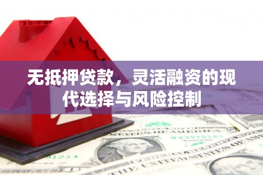 冕宁无抵押贷款，灵活融资的现代选择与风险控制
