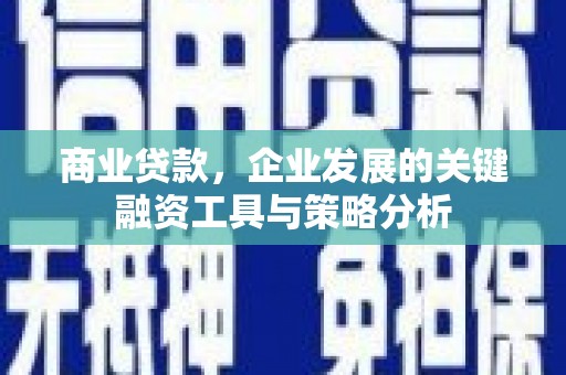 冕宁商业贷款，企业发展的关键融资工具与策略分析