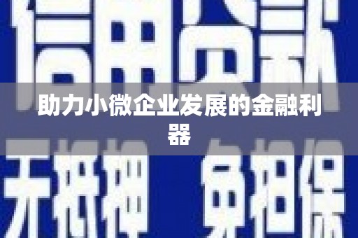 冕宁助力小微企业发展的金融利器