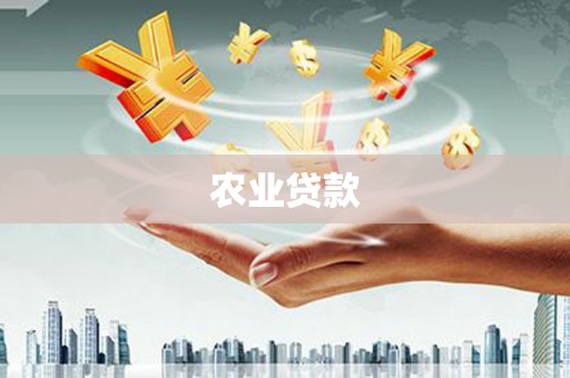 冕宁农业贷款