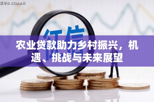 冕宁农业贷款助力乡村振兴，机遇、挑战与未来展望