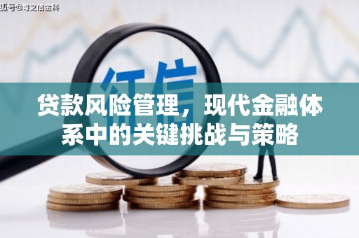 冕宁贷款风险管理，现代金融体系中的关键挑战与策略
