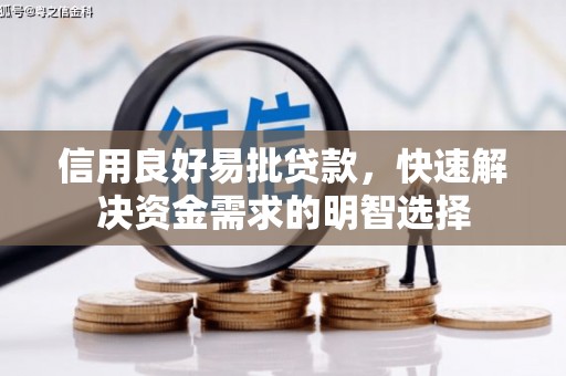 冕宁信用良好易批贷款，快速解决资金需求的明智选择