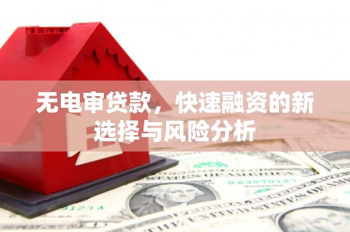 冕宁无电审贷款，快速融资的新选择与风险分析
