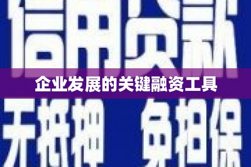 冕宁企业发展的关键融资工具