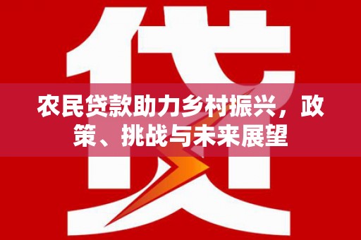 冕宁农民贷款助力乡村振兴，政策、挑战与未来展望