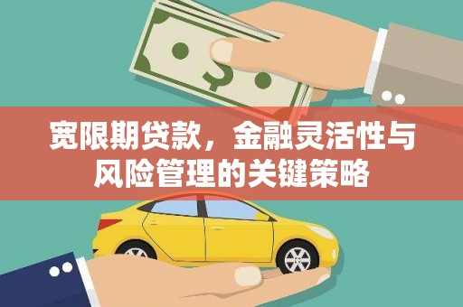 冕宁宽限期贷款，金融灵活性与风险管理的关键策略