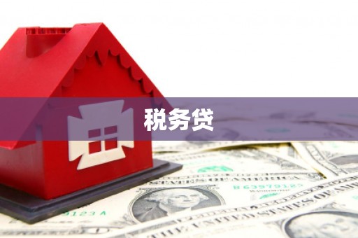 冕宁税务贷