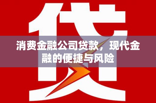 冕宁消费金融公司贷款，现代金融的便捷与风险