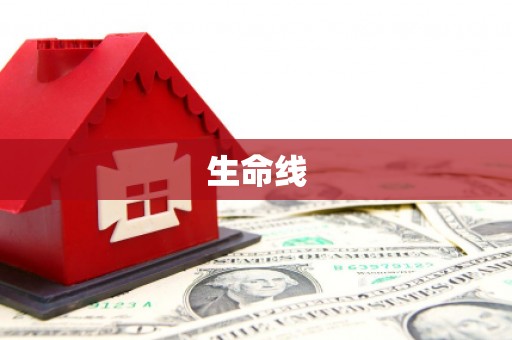 冕宁生命线