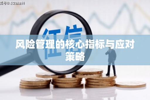 冕宁风险管理的核心指标与应对策略
