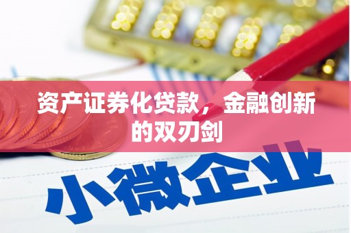 冕宁资产证券化贷款，金融创新的双刃剑