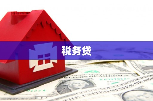 冕宁税务贷