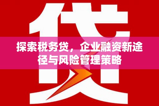 冕宁探索税务贷，企业融资新途径与风险管理策略