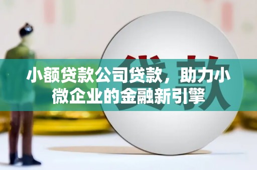 冕宁小额贷款公司贷款，助力小微企业的金融新引擎