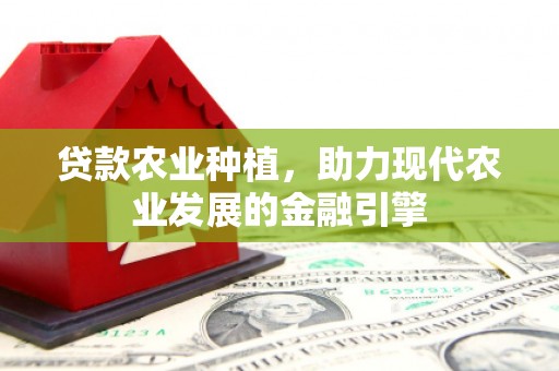 冕宁贷款农业种植，助力现代农业发展的金融引擎