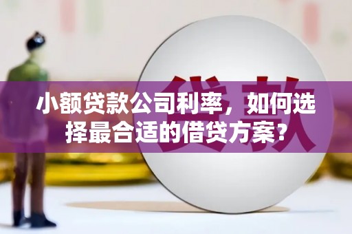 冕宁小额贷款公司利率，如何选择最合适的借贷方案？