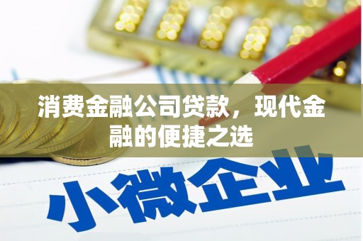 冕宁消费金融公司贷款，现代金融的便捷之选